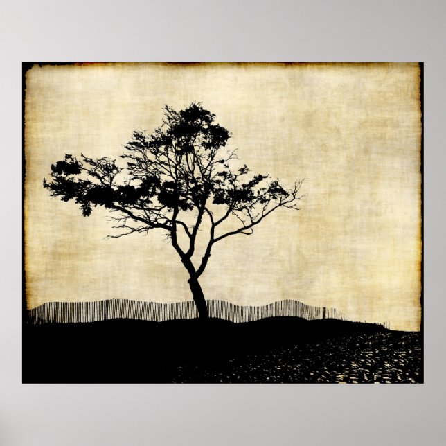 Tree Silhouette Foto Art Poster (Vorne)