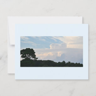Tree-Silhouette mit Clouds Postkarte