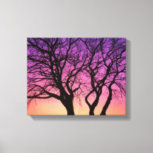 Tree Silhouetten im Sonnenuntergang - Leinwand dru