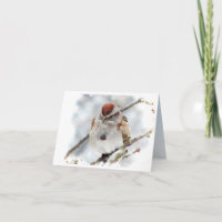 Tree Sparrow Vielen Dank