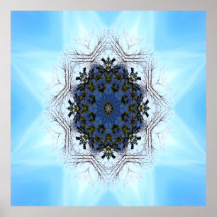 Tree Star..... Poster