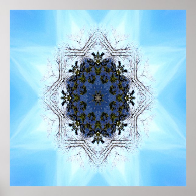 Tree Star..... Poster (Vorne)