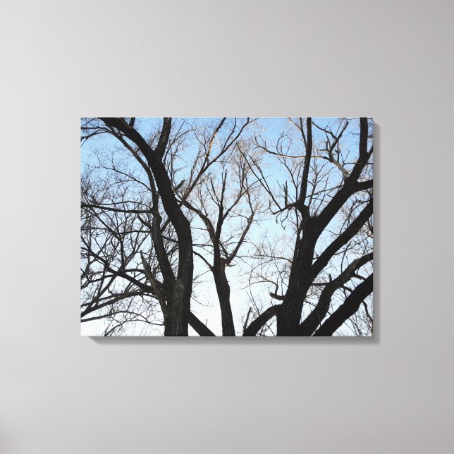 Tree Stretch Canvas Print Leinwanddruck (Vorderseite)