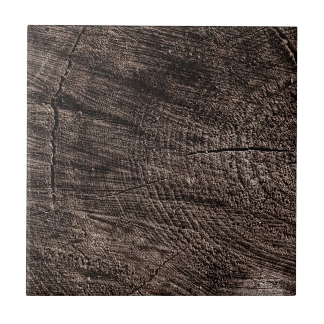 Tree Stump Fliese (Vorderseite)
