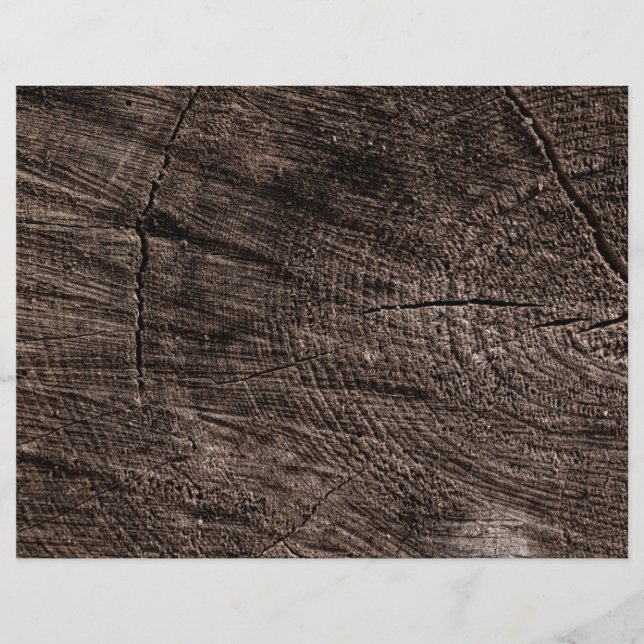 Tree Stump Flyer (Vorne)