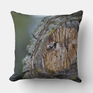 Tree Stump Fotografie Kissen