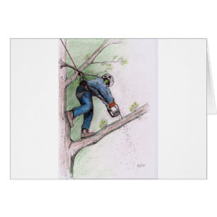 Tree Surgeon Arborist