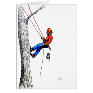 Tree Surgeon Arborist Forester