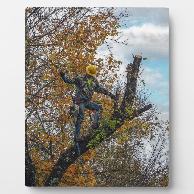 Tree Surgeon Fotoplatte (Vorderseite)