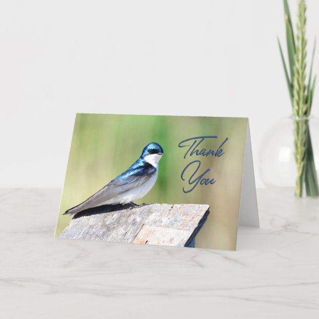 Tree Swallow Foto Danke Karte (Vorderseite)