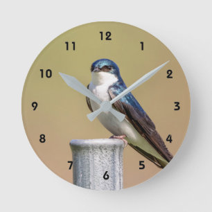 Tree Swallow Runde Wanduhr