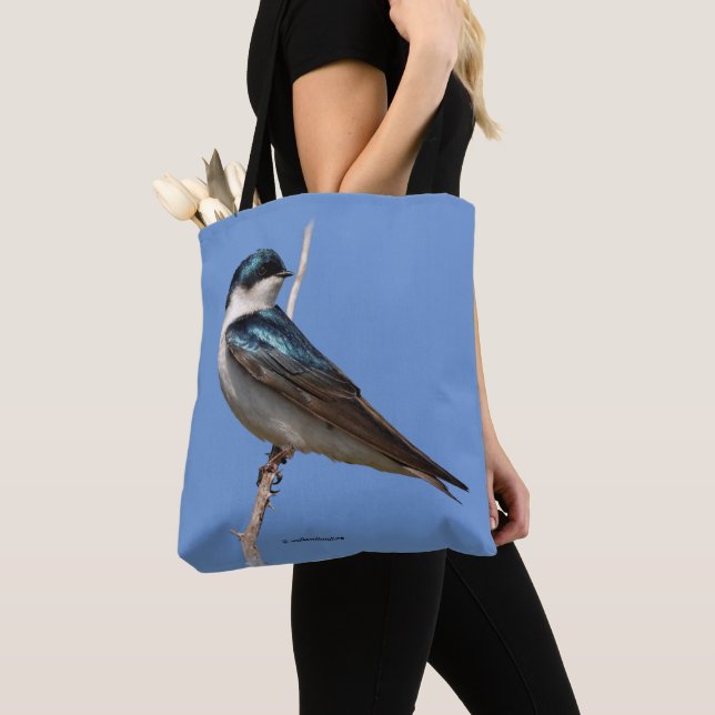 Tree Swallow Songbird Stands Guard Tasche (Von Nahem)