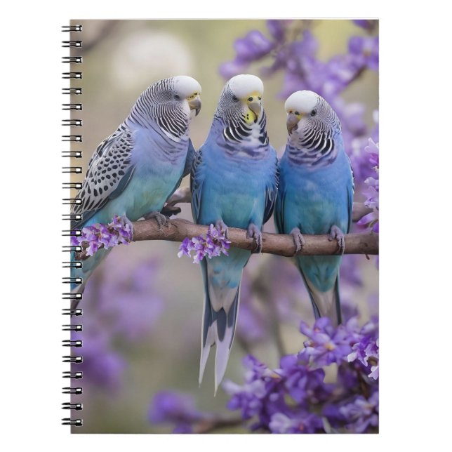 Tree Top Chatter: Blue Budgies in Jacaranda Tree, Notizblock (Vorderseite)