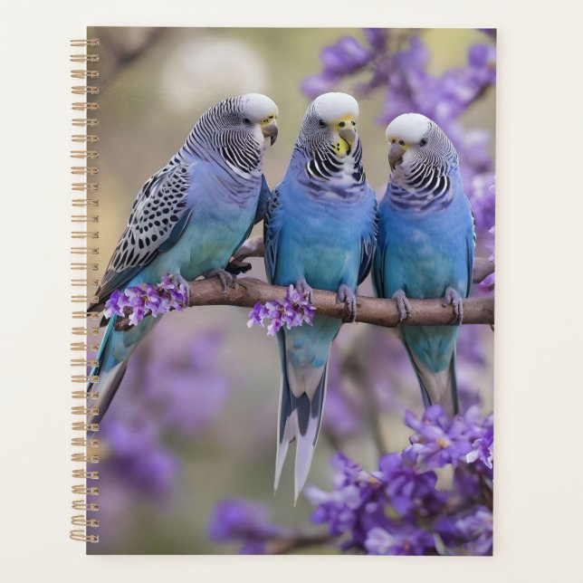 Tree Top Chatter: Blue Budgies in Jacaranda Tree, Planer (Vorderseite)