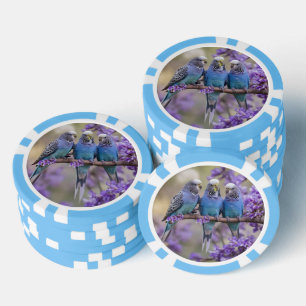 Tree Top Chatter: Blue Budgies in Jacaranda Tree, Pokerchips