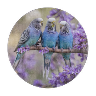 Tree Top Chatter: Blue Budgies in Jacaranda Tree, Schneidebrett