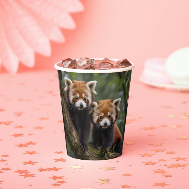 "Tree-top-Explorers: Baby Red Pandas mit Blick auf Pappbecher (Insitu)