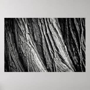 Tree tree bark tribe wood poster