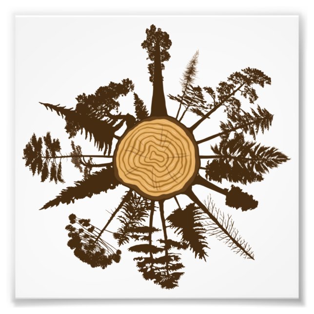 Tree Trunk Cross Section Growth Rings Pine Trees Fotodruck (Vorne)