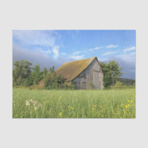 Tree umarmte Slanted Roof Barn in einem Blume Feld Seidenpapier