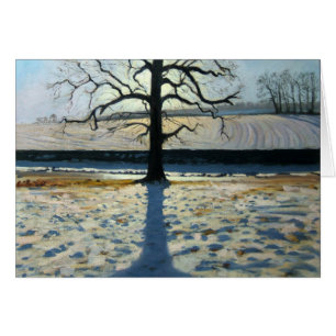 Tree und Shadow Calke Abbey Derbyshire