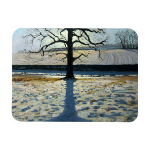 Tree und Shadow Calke Abbey Derbyshire Magnet