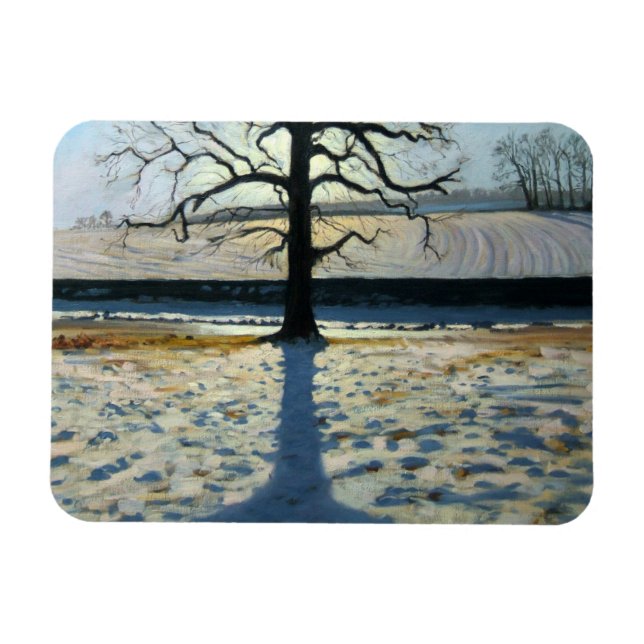 Tree und Shadow Calke Abbey Derbyshire Magnet (Horizontal)