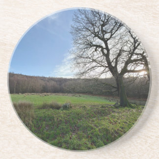 Tree view.. getränkeuntersetzer