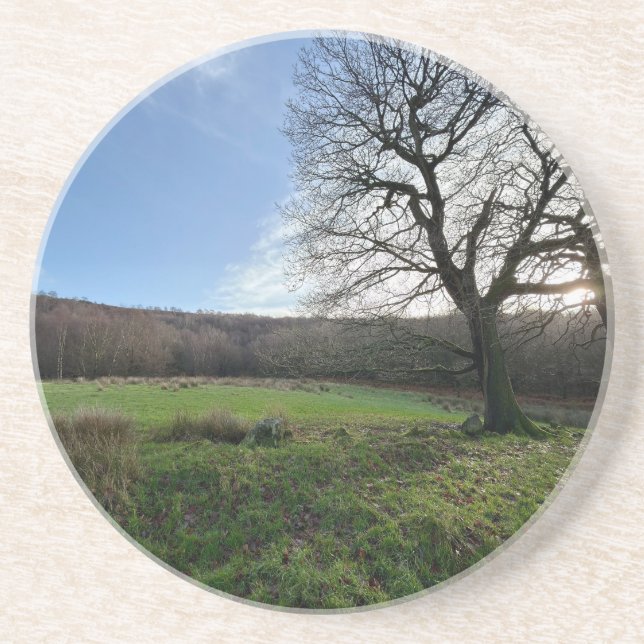 Tree view.. getränkeuntersetzer (Vorne)