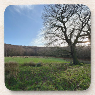 Tree view.. getränkeuntersetzer