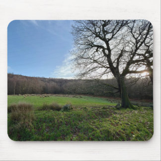 Tree view.. mousepad