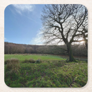 Tree view.. rechteckiger pappuntersetzer