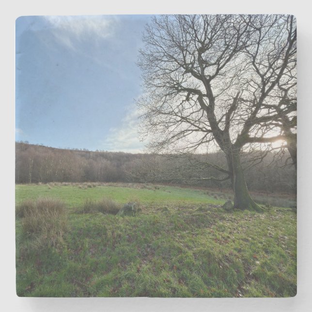 Tree view.. steinuntersetzer (Vorderseite)