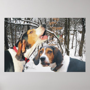 Tree Walker Coonhound Snowy Woods Poster