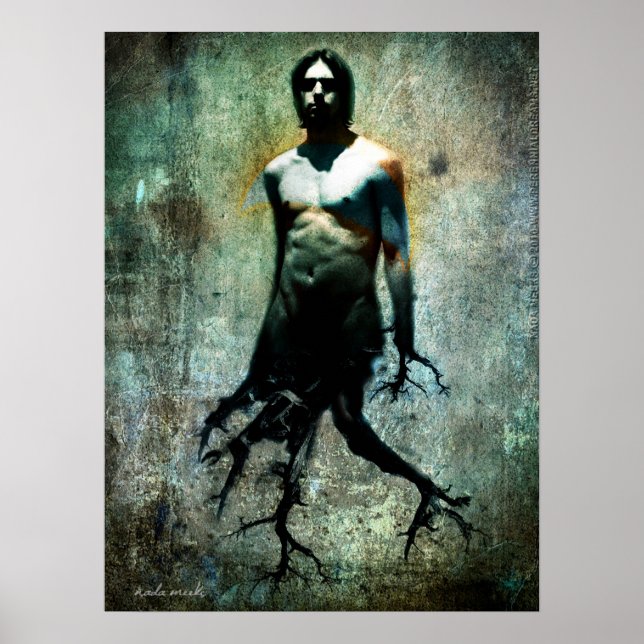 Tree Walker Poster (Vorne)