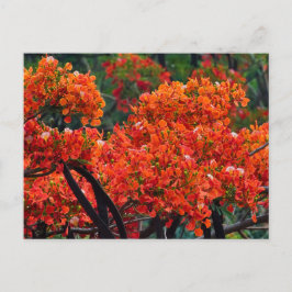 tree With Beau Red Colored Flower Feiertagspostkarte