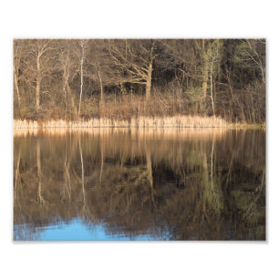 Treeds und Reflections im Marthaler Park Fotodruck