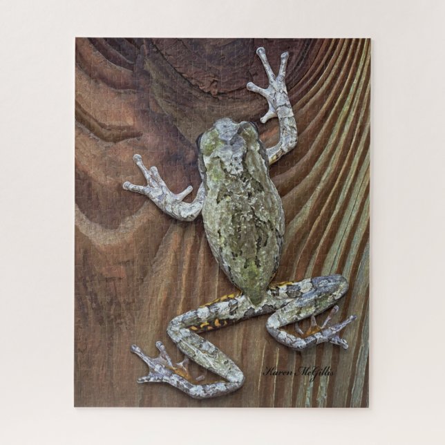 Treefrog auf Zedernzaun (Vertikal)