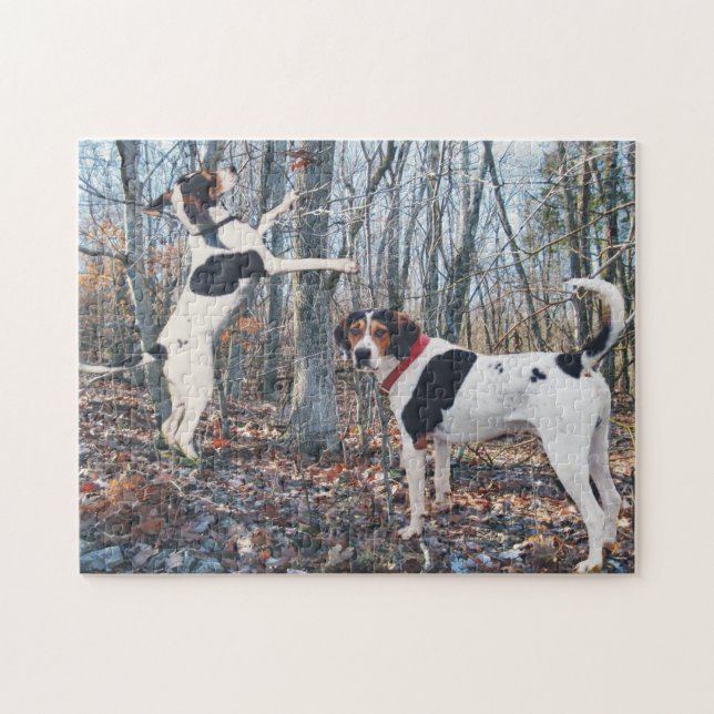 Treeing Wanderercoonhounds-Jagd (Horizontal)