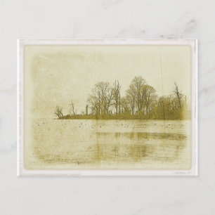 Treeline Postkarte