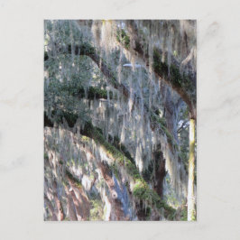 TreeLined Postkarte
