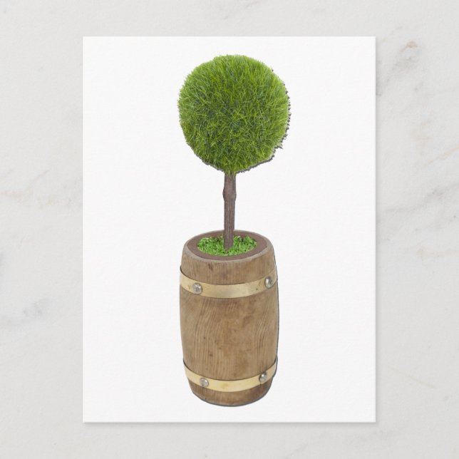 TreePlantedRainBarrel050811 Postkarte (Vorderseite)