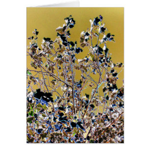 TREES Card