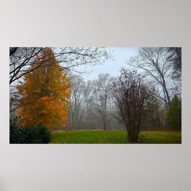Trees & Fog,  Poster (Devant)