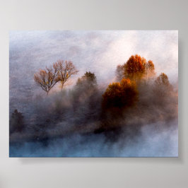 Trees in the morning mist poster