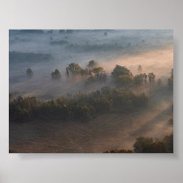 Trees in the morning mist poster