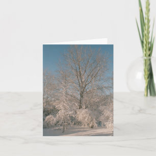 Trees laden with Snow Notecards Karte