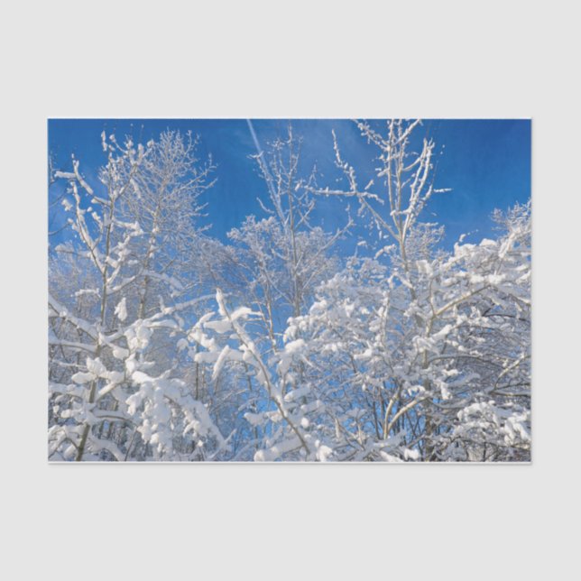 Trees Winter Snow Bedeckte Blaue Himmelslandschaft Seidenpapier (Vorderseite)