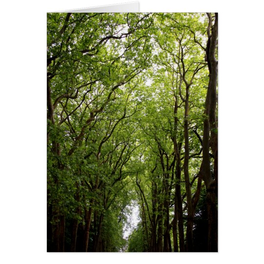 Treetops Karte