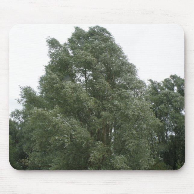 Treetops Mousepad (Vorne)